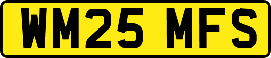 WM25MFS