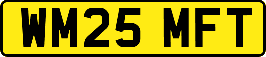 WM25MFT