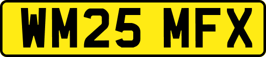 WM25MFX
