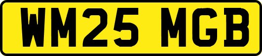 WM25MGB