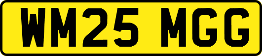 WM25MGG