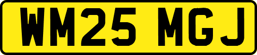 WM25MGJ