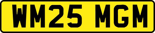WM25MGM
