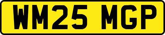 WM25MGP