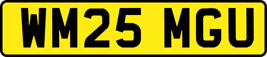 WM25MGU
