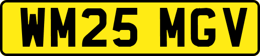 WM25MGV