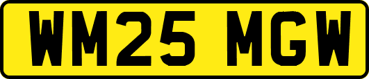 WM25MGW