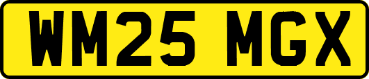 WM25MGX