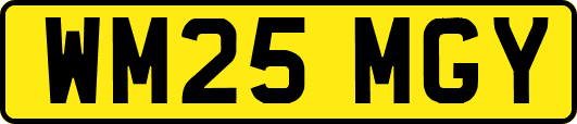 WM25MGY