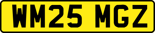 WM25MGZ