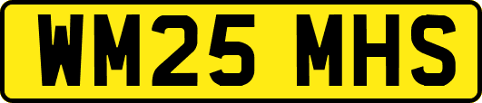 WM25MHS