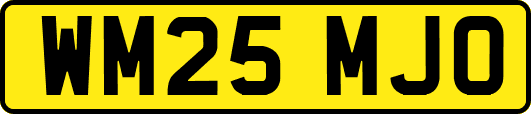 WM25MJO