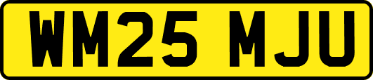 WM25MJU