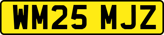 WM25MJZ