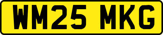 WM25MKG