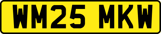 WM25MKW