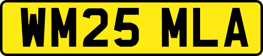 WM25MLA