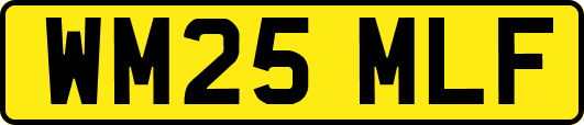 WM25MLF