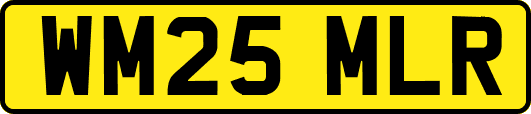 WM25MLR