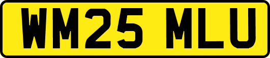 WM25MLU