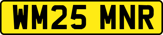 WM25MNR