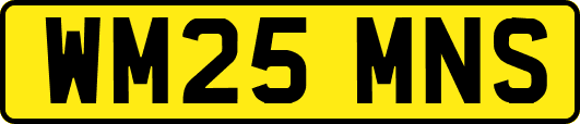 WM25MNS