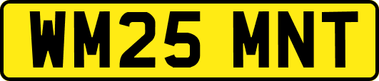 WM25MNT