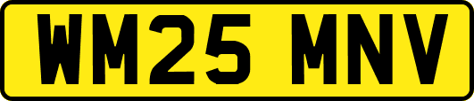 WM25MNV