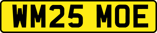 WM25MOE