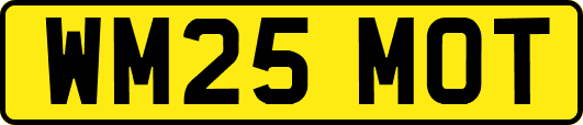 WM25MOT