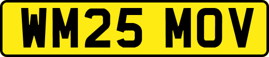 WM25MOV