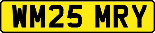 WM25MRY