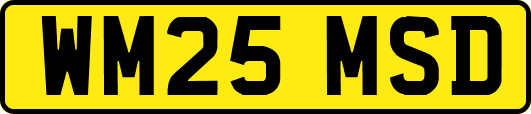 WM25MSD
