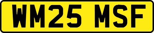 WM25MSF
