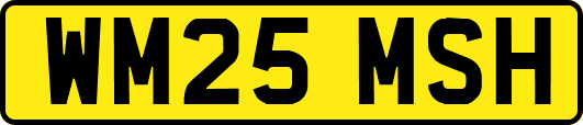 WM25MSH