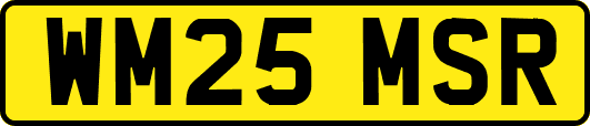WM25MSR