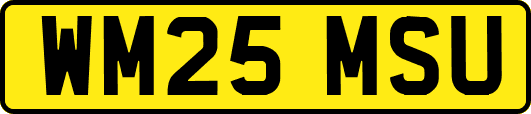 WM25MSU