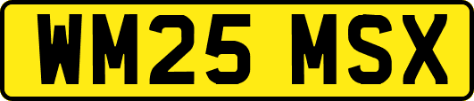 WM25MSX
