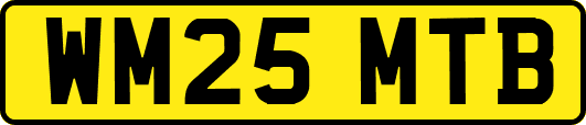 WM25MTB