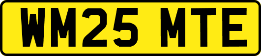 WM25MTE
