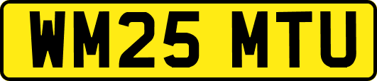 WM25MTU