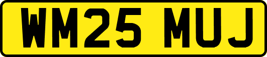 WM25MUJ