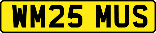 WM25MUS