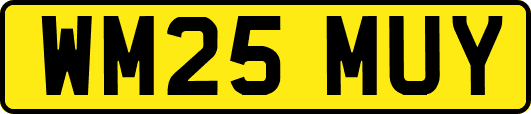 WM25MUY