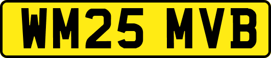 WM25MVB