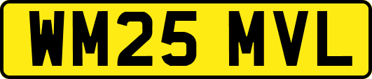 WM25MVL