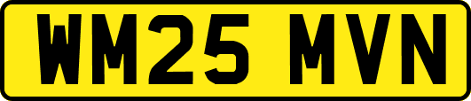 WM25MVN