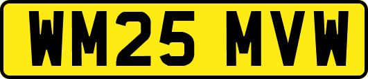 WM25MVW