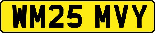 WM25MVY