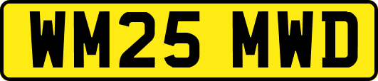 WM25MWD
